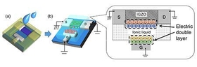 Fig.2 Images of device structure with an electric double layer formed by ionic liquid. (a) Drop-casted ionic-liquid on IGZO, (b) electric double layer formed at the interface between ionic liquid and IGZO after applying gate voltage. (S, D, and G indicate