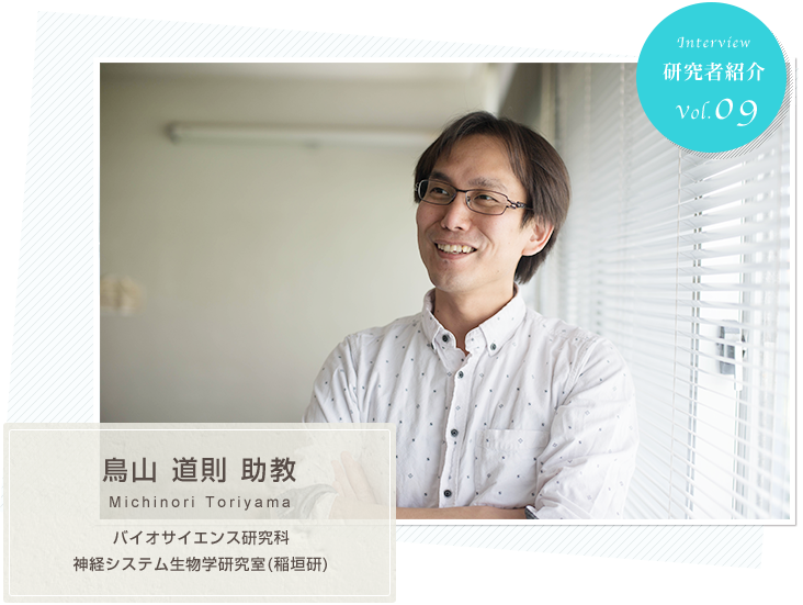 研究者紹介　vol.9 バイオサイエンス研究科　神経システム生物学研究室(稲垣研)　 鳥山　道則　助教