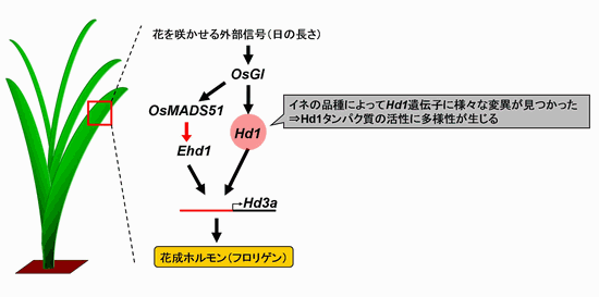 admin_b52861e1e9c3725ff191c1375df5a7d8_1235462043_.gif